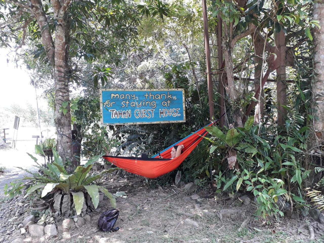 Tahan Guest House Kuala Tahan Zewnętrze zdjęcie